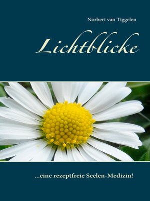 cover image of Lichtblicke